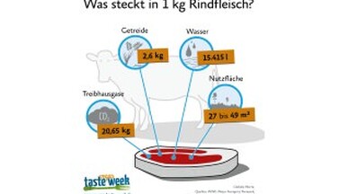 Was steckt in 1 kg Rindfleisch?