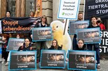 Aktion vor dem BMEL: Tiertransporte beenden