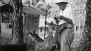 Albert Schweitzer füttert Antilopen.