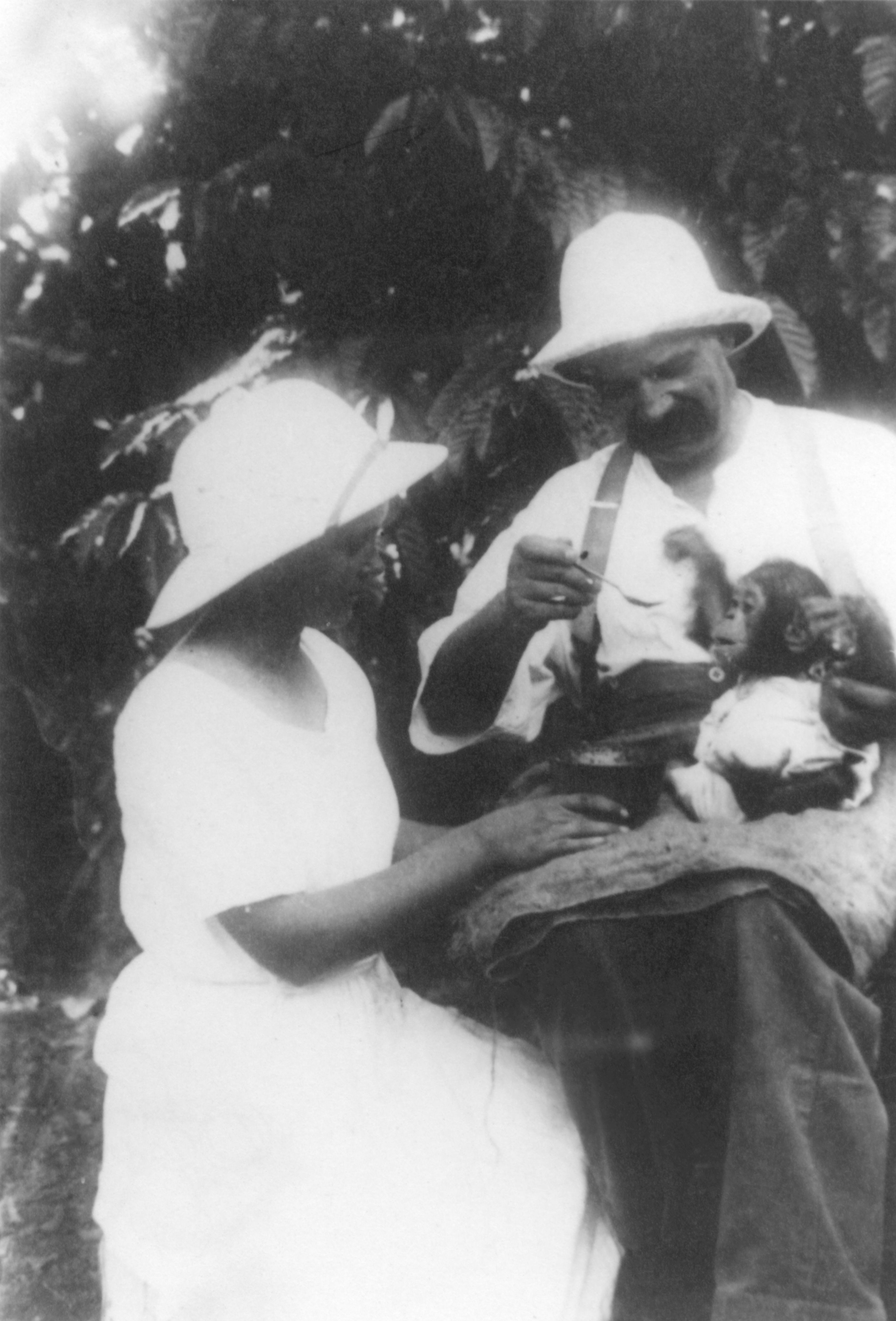 Albert Schweitzer und eine Frau füttern ein Schimpansenkind.