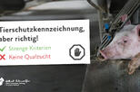 Petitionsbanner