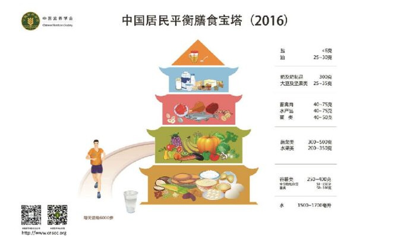 Chinese Nutrition Society Ernährungspyramide