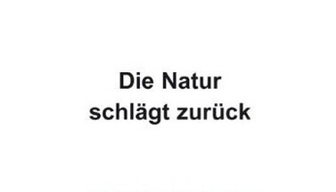 Focke natur schlägt zurück