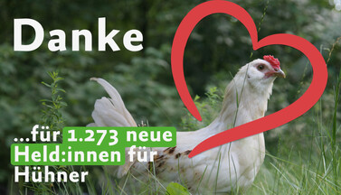 Huhn auf grüner Wiese, umrandet von rotem Herz