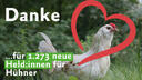 Huhn auf grüner Wiese, umrandet von rotem Herz