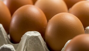 Spar Eier
