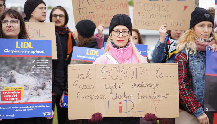 Europaweiter Tierschutz-Protest vor Lidl-Filialen