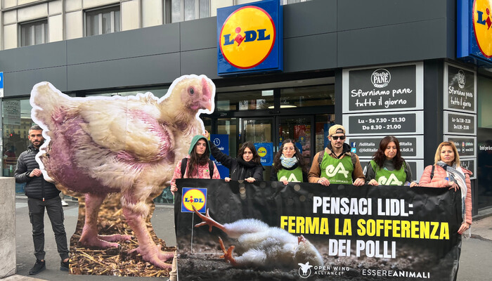 Europaweiter Tierschutz-Protest vor Lidl-Filialen