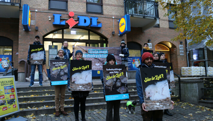Europaweiter Tierschutz-Protest vor Lidl-Filialen