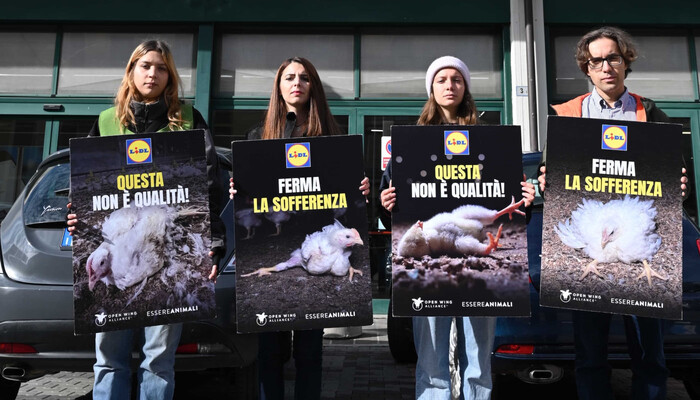 Europaweiter Tierschutz-Protest vor Lidl-Filialen