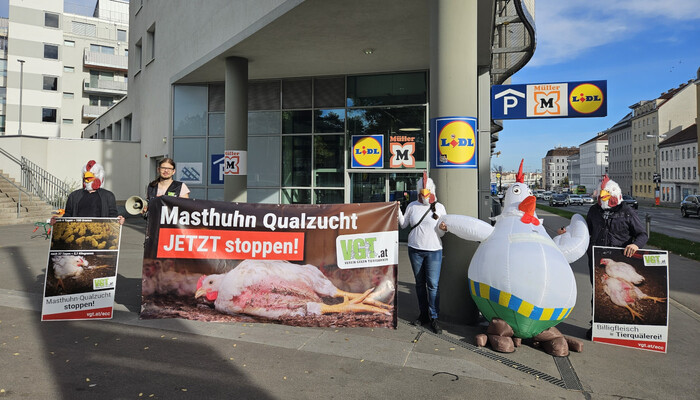 Europaweiter Tierschutz-Protest vor Lidl-Filialen