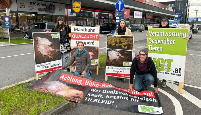 Europaweiter Tierschutz-Protest vor Lidl-Filialen