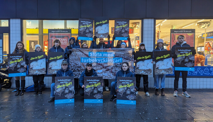 Europaweiter Tierschutz-Protest vor Lidl-Filialen