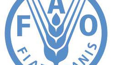 Logo FAO