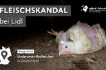 Banner Fleischskandal bei Lidl