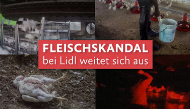 Collage aus Videobildern