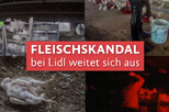 Collage aus Videobildern