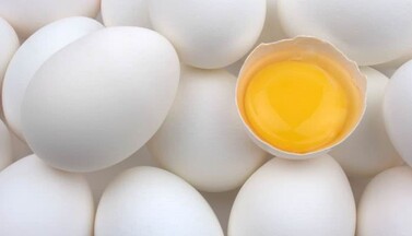 Eier