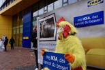 Protest bei IKEA