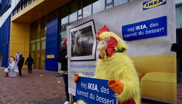 Protest bei IKEA