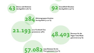 Unser Jahr 2015 in Zahlen