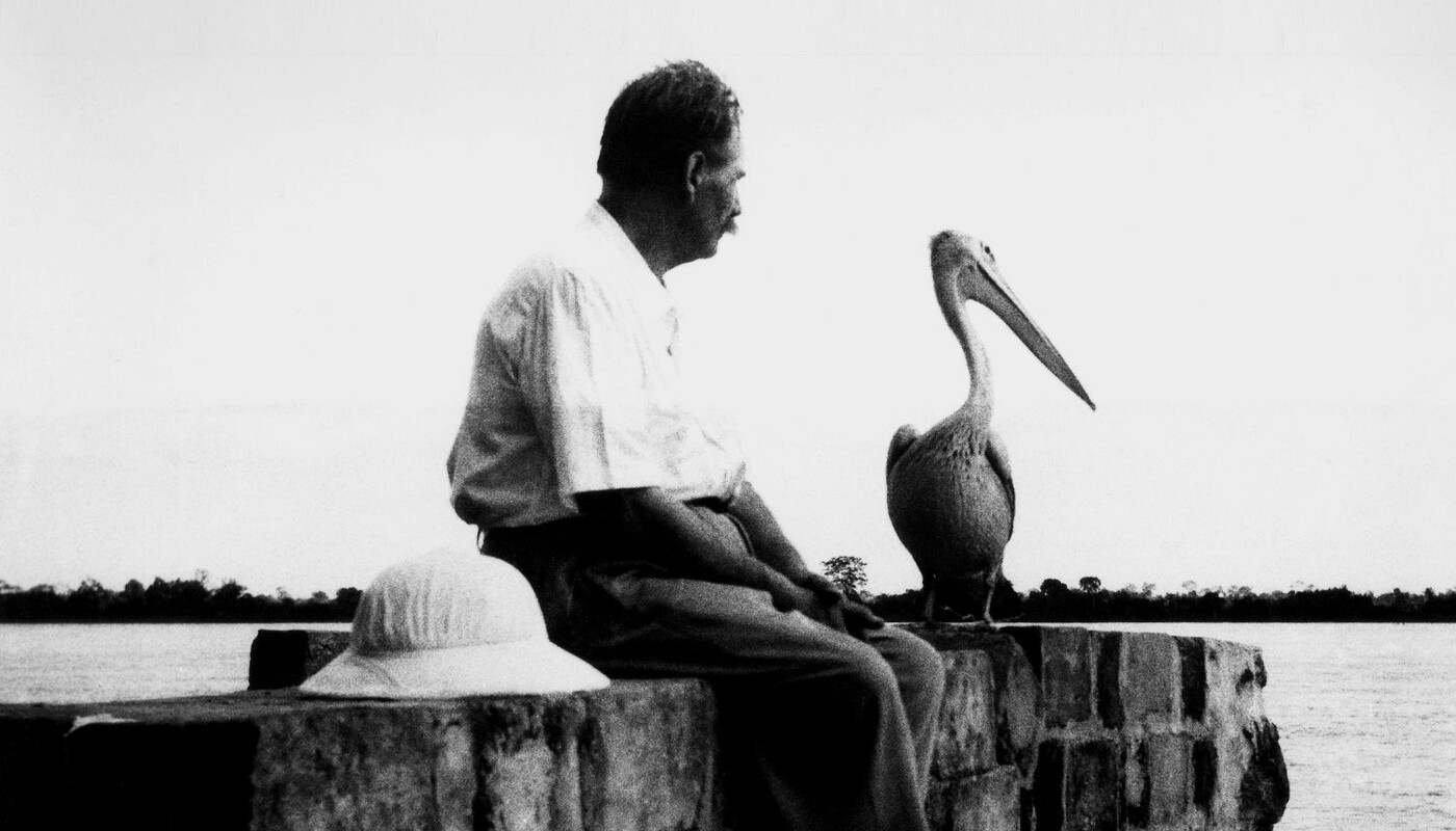 Albert Schweitzer mit Pelikan.