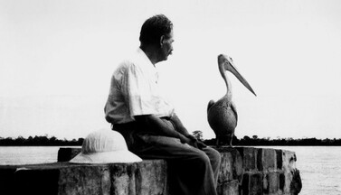 Albert Schweitzer mit Pelikan.
