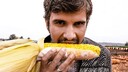 Mann beisst in Maiskolben; veganes Essen