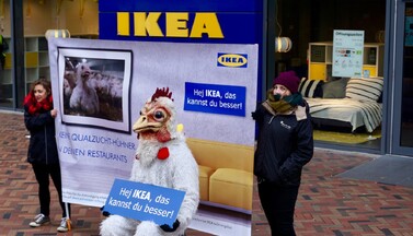 Protest bei IKEA