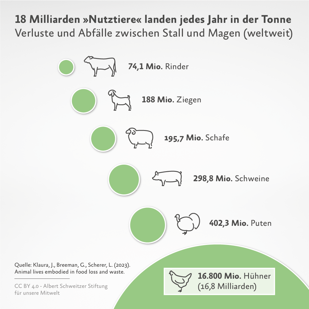 Infografik: Verluste und Abfälle zwischen Stall und Magen (weltweit)