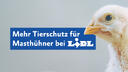 Banner Erfolg Lidl