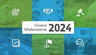 Grafik zur Illustration der Meilensteine