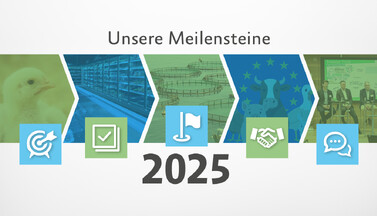 Symbolgrafik Meilensteine 2025.
