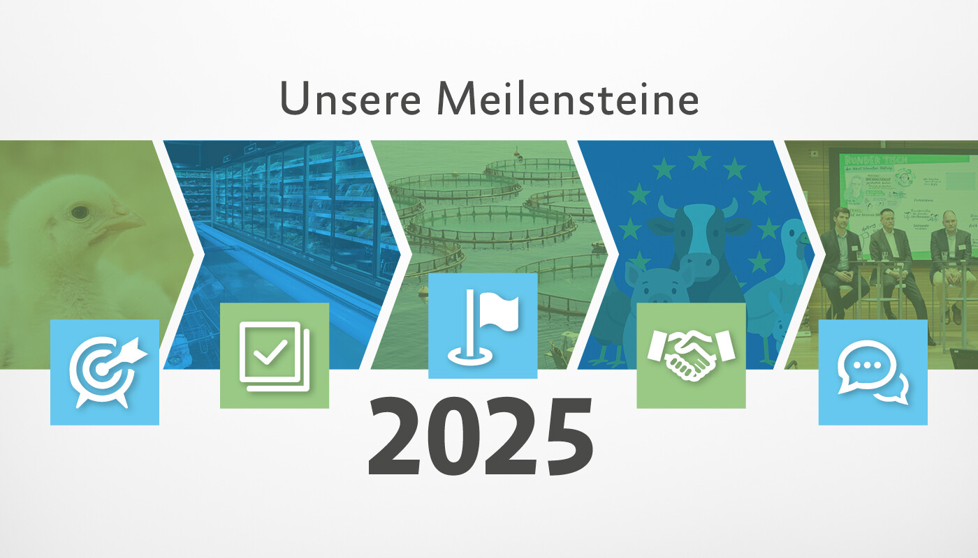 Symbolgrafik Meilensteine 2025.