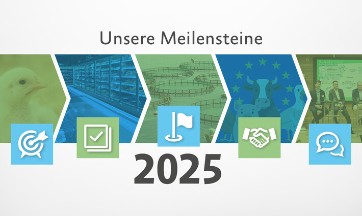 Symbolgrafik Meilensteine 2025.