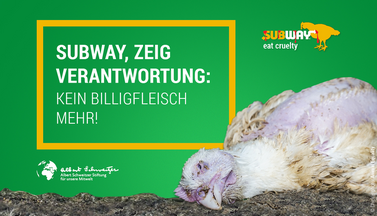 Relaunch Subway-Kampagne