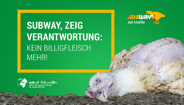 Relaunch Subway-Kampagne