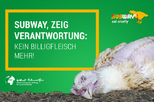 Relaunch Subway-Kampagne