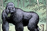 Comic Gorilla Proteine