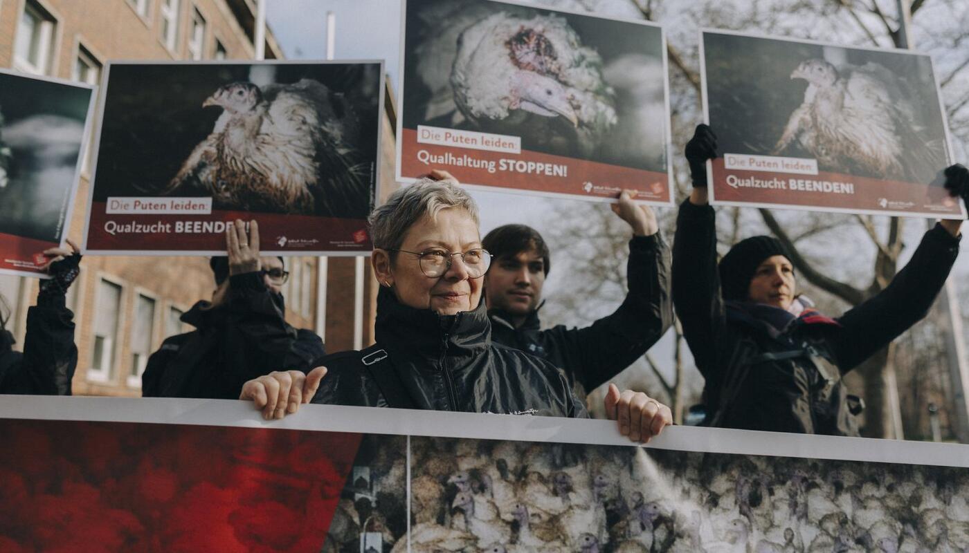 Frau hinter einem Banner, auf dem zahllose Mastputen zu sehen sind. Hinter ihr Menschen mit Schildern, auf denen leidende Mastputen und die Claims 
