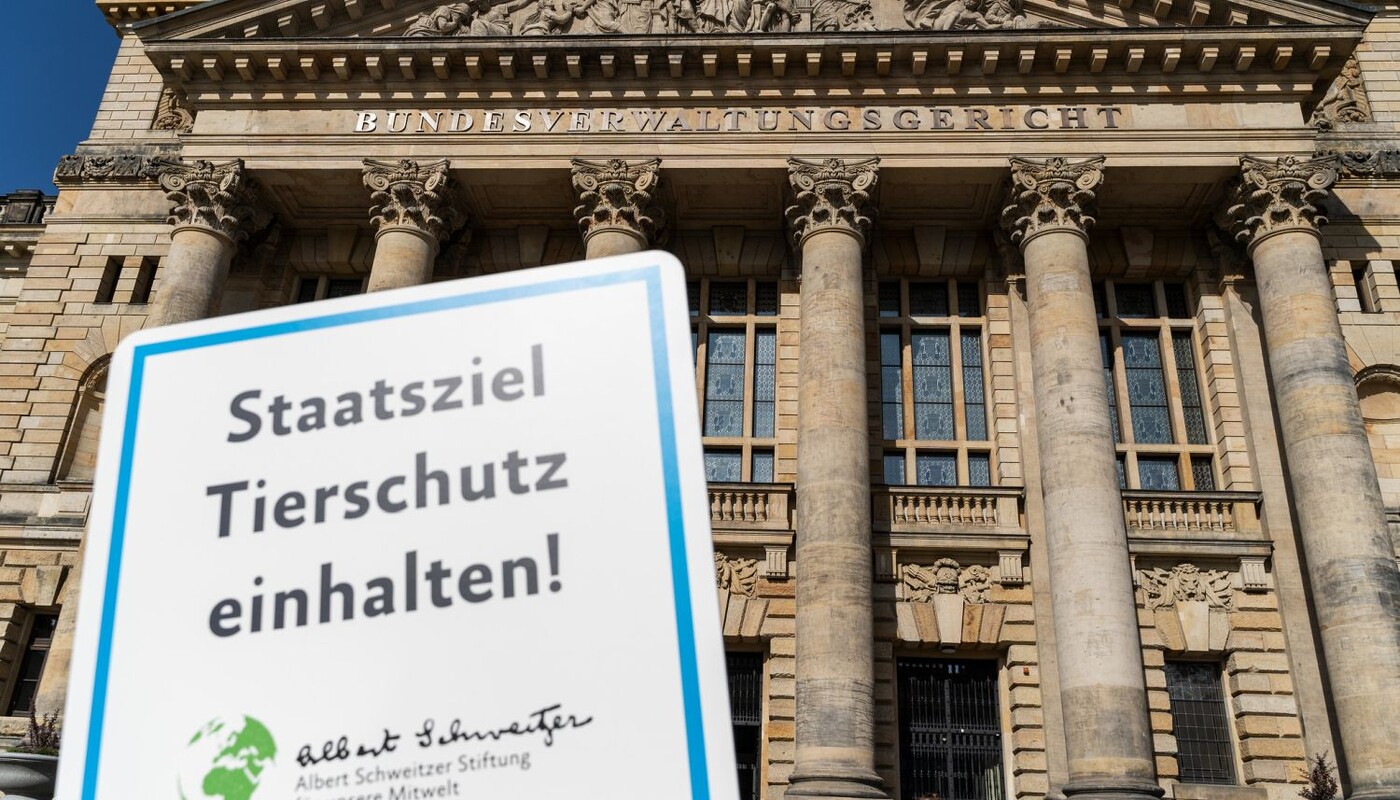 Schild der Albert Schweitzer Stiftung mit der Aufschrift 