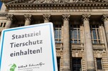 Schild der Albert Schweitzer Stiftung mit der Aufschrift 