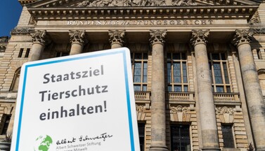 Schild der Albert Schweitzer Stiftung mit der Aufschrift 