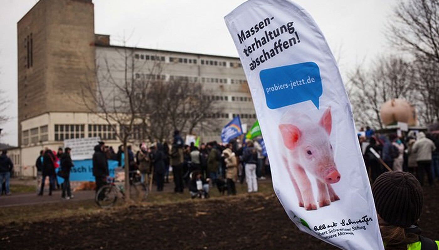 Demo vor Schweinehochhaus