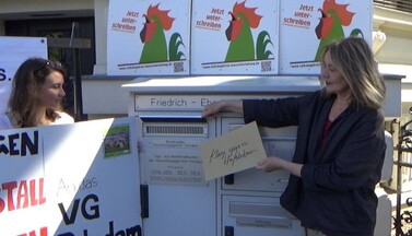 Schweinemast Hassleben vor Gericht