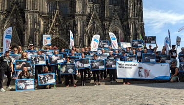 Silent Line in Köln