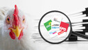 Banner Wahlprogramm 2025