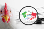 Banner Wahlprogramm 2025