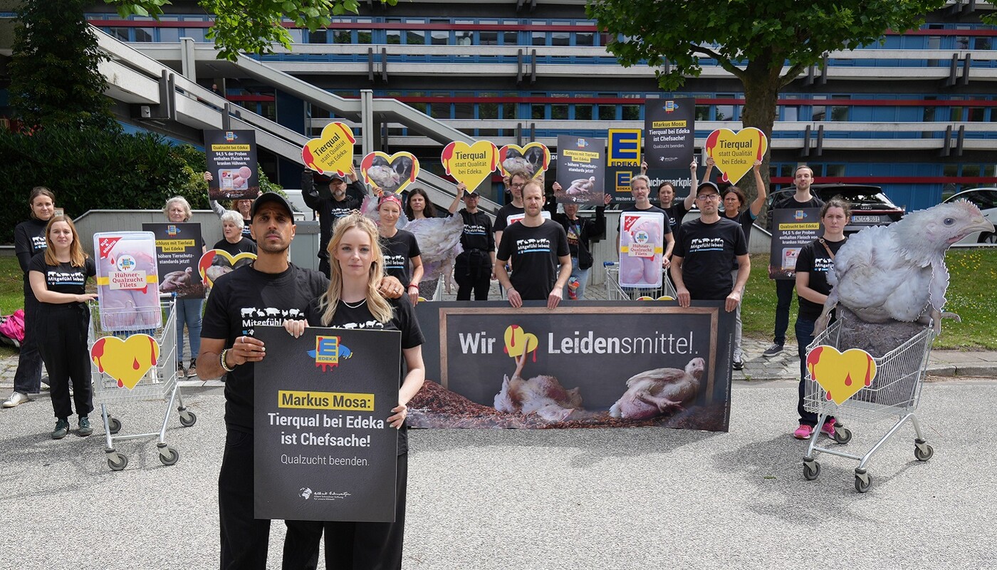 Aktive der Albert Schweitzer Stiftung für unsere Mitwelt und die Influencer:innen Juju & Fabi protestieren vor der Edeka-Zentrale in Hamburg.