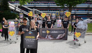 Aktive der Albert Schweitzer Stiftung für unsere Mitwelt und die Influencer:innen Juju & Fabi protestieren vor der Edeka-Zentrale in Hamburg.